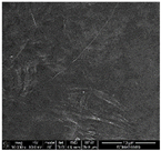 Proceedings 69 00030 i003