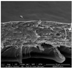 Proceedings 69 00030 i004