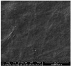 Proceedings 69 00030 i005