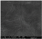 Proceedings 69 00030 i006