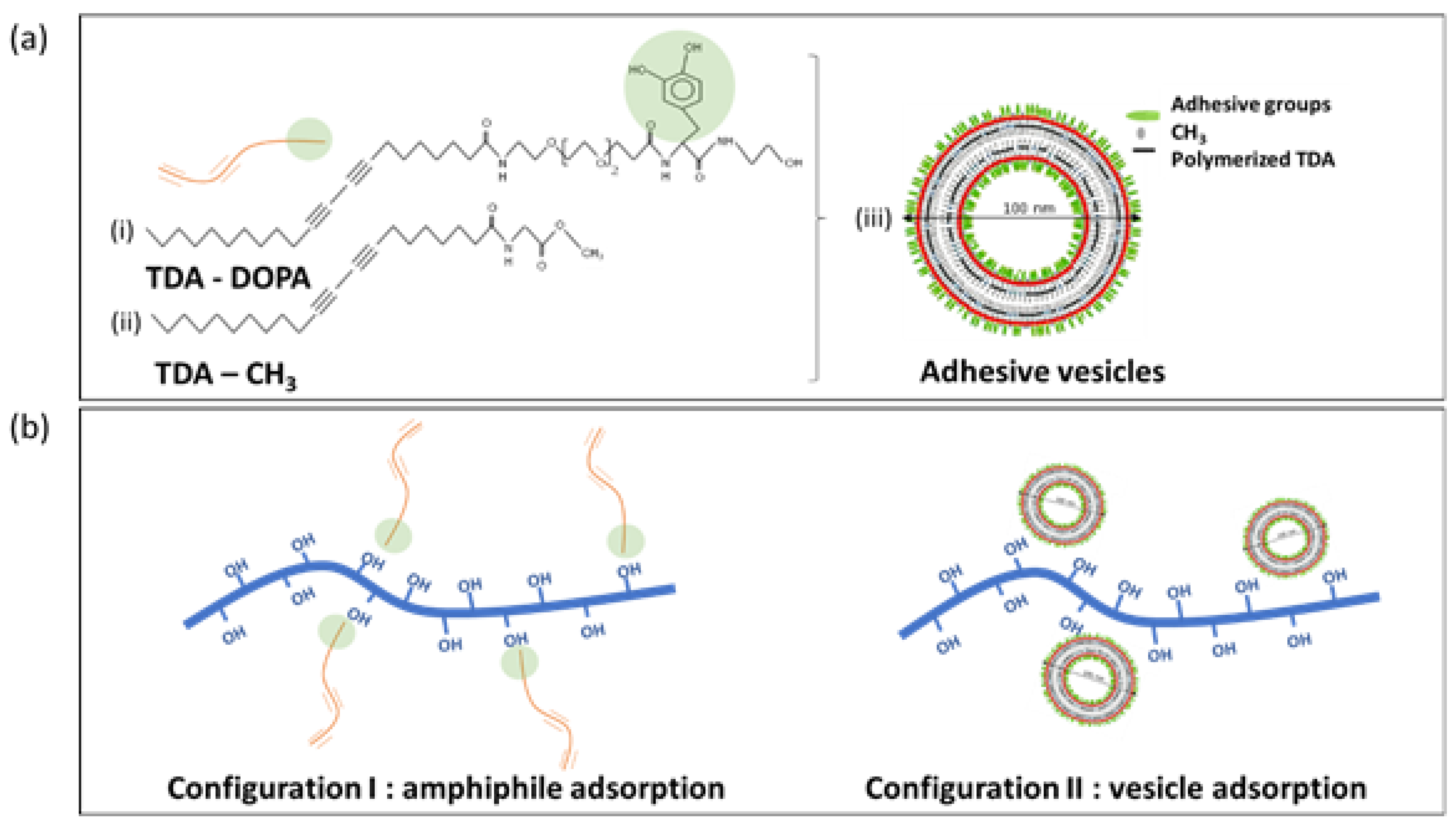 Proceedings 69 00032 g001