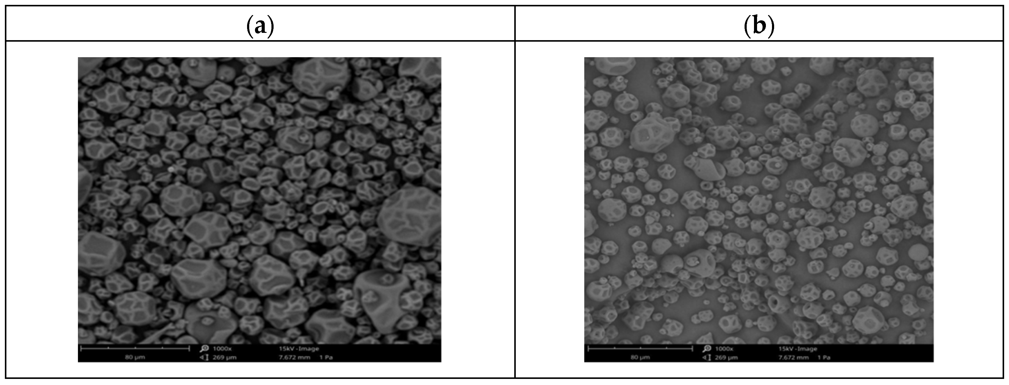 Proceedings 70 00002 g004