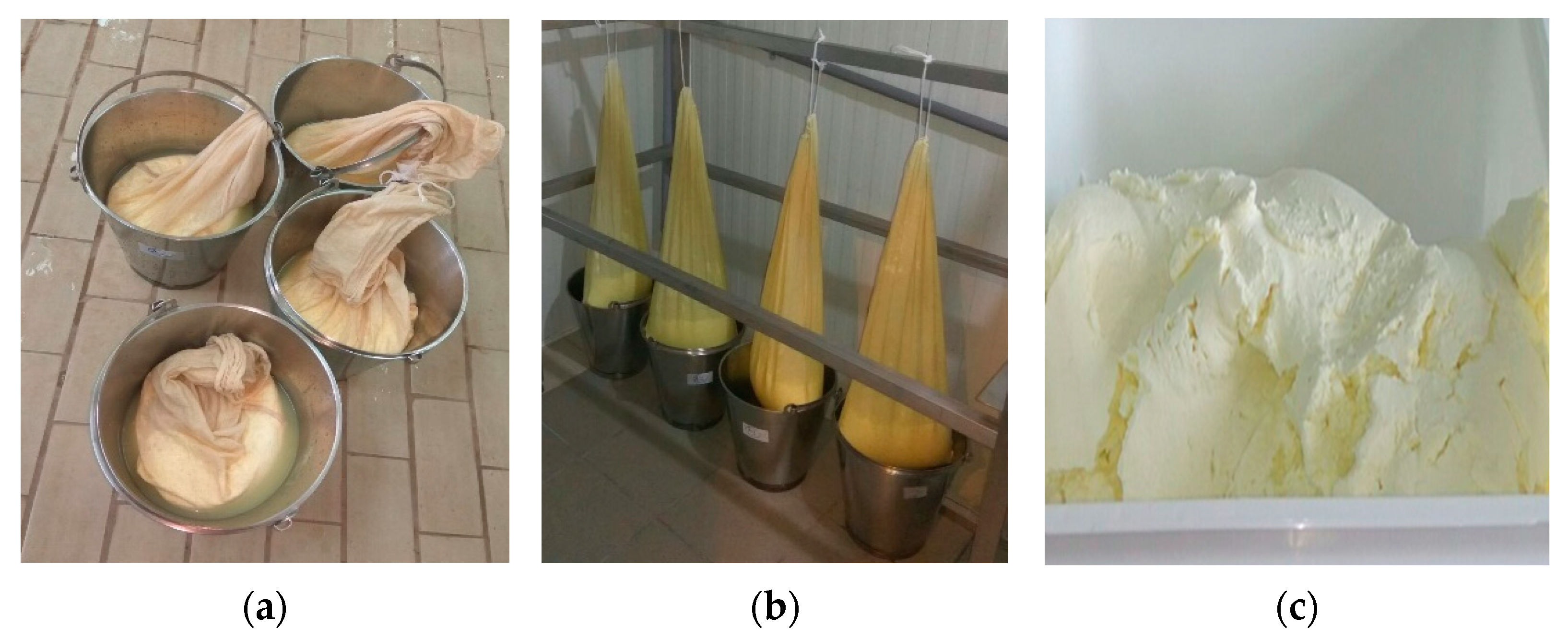 Proceedings 70 00099 g001