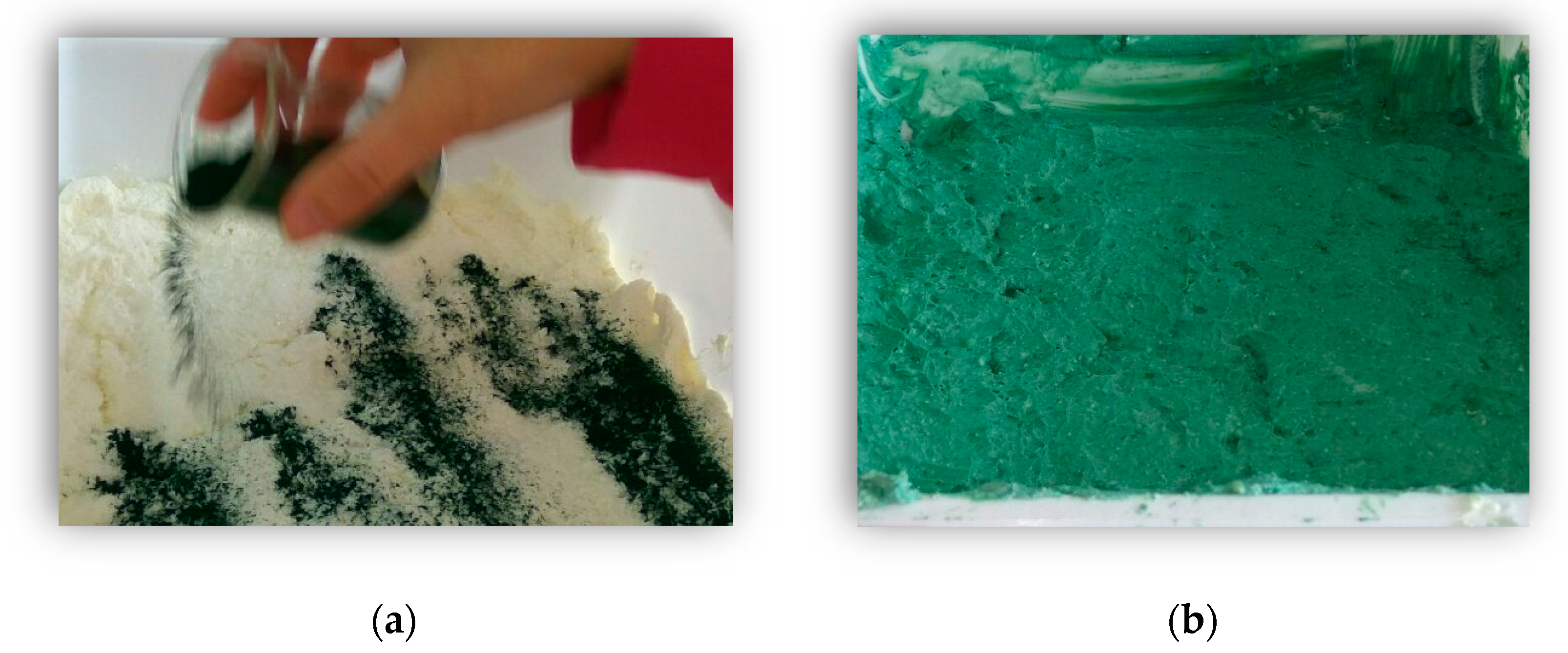 Proceedings 70 00099 g002