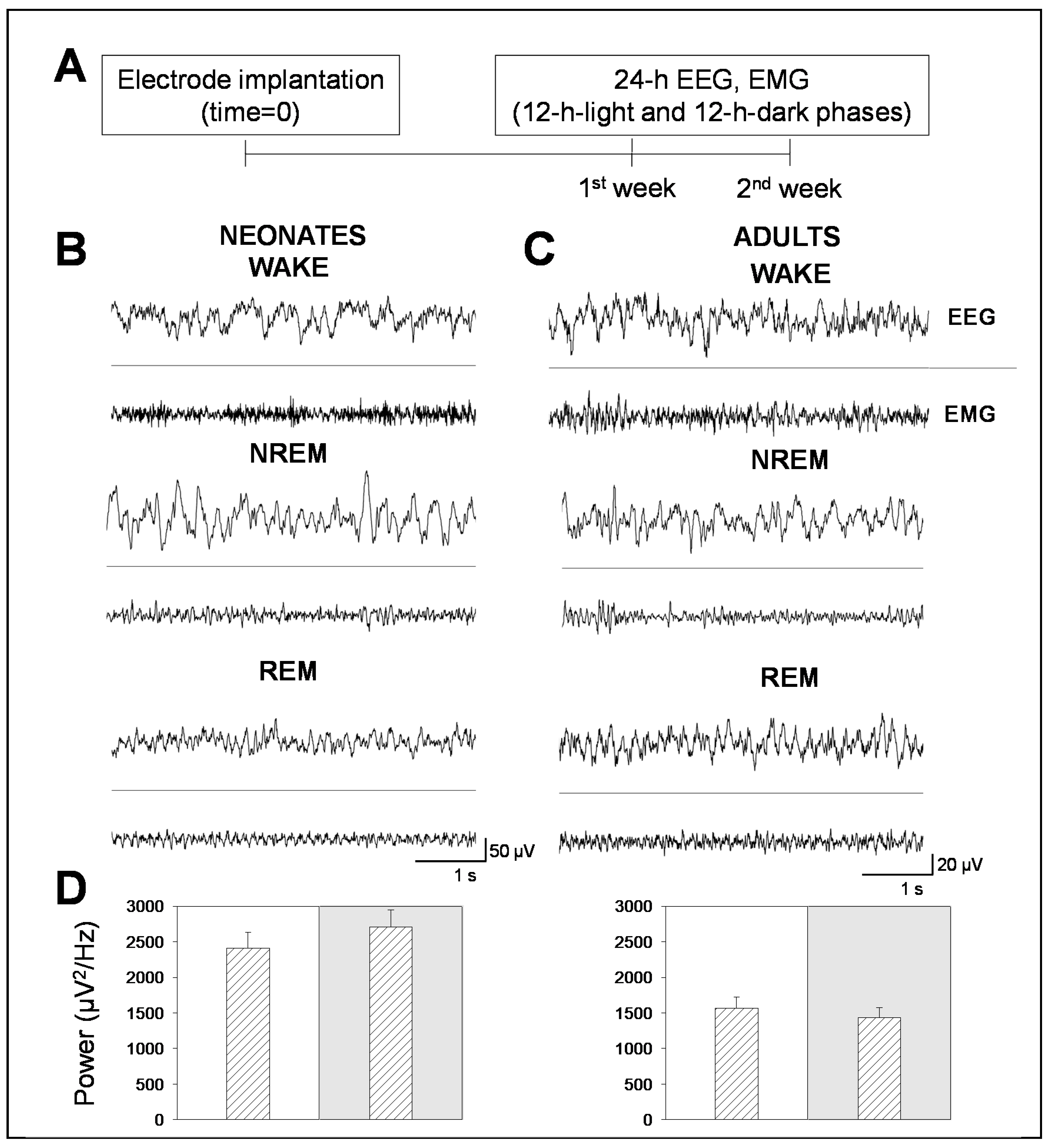 Proceedings 71 00004 g001