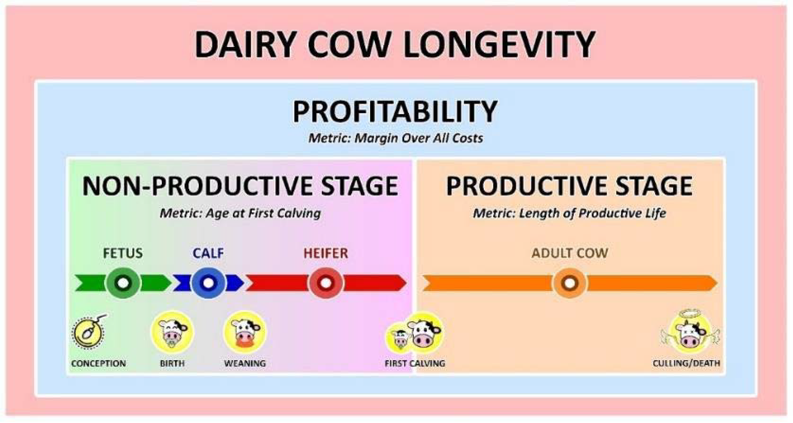 Proceedings 73 00007 g001