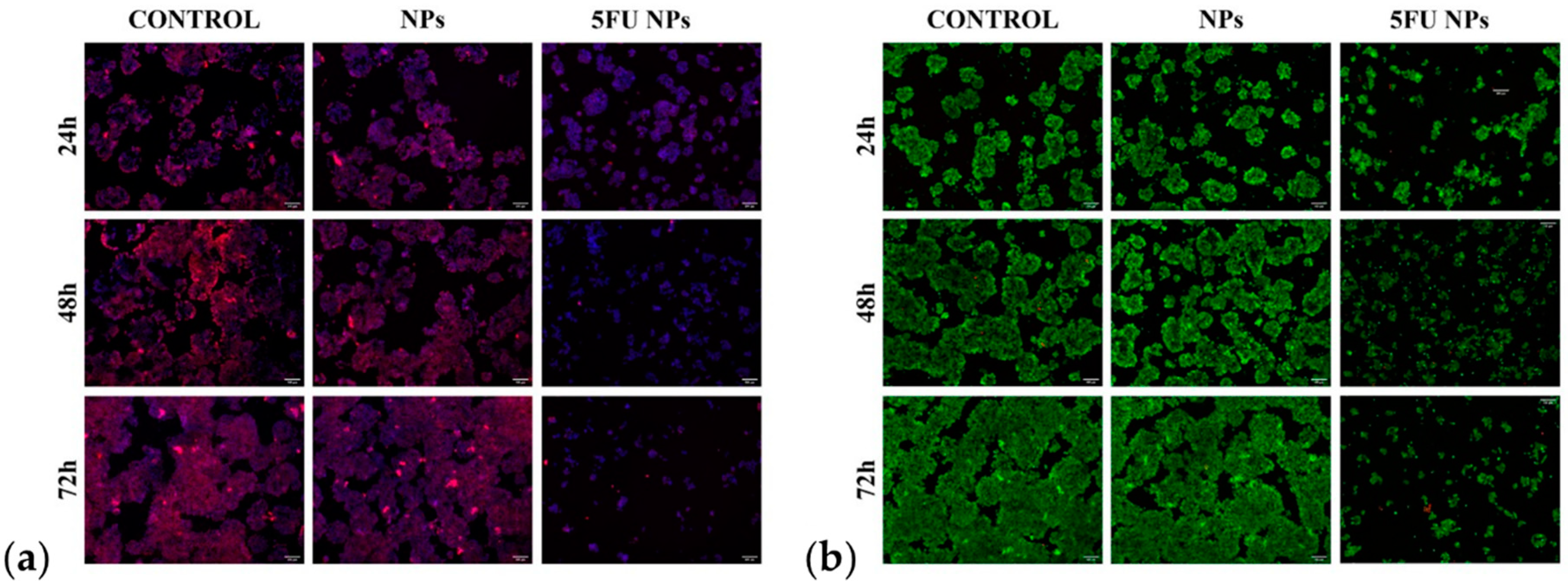 Proceedings 78 00009 g002