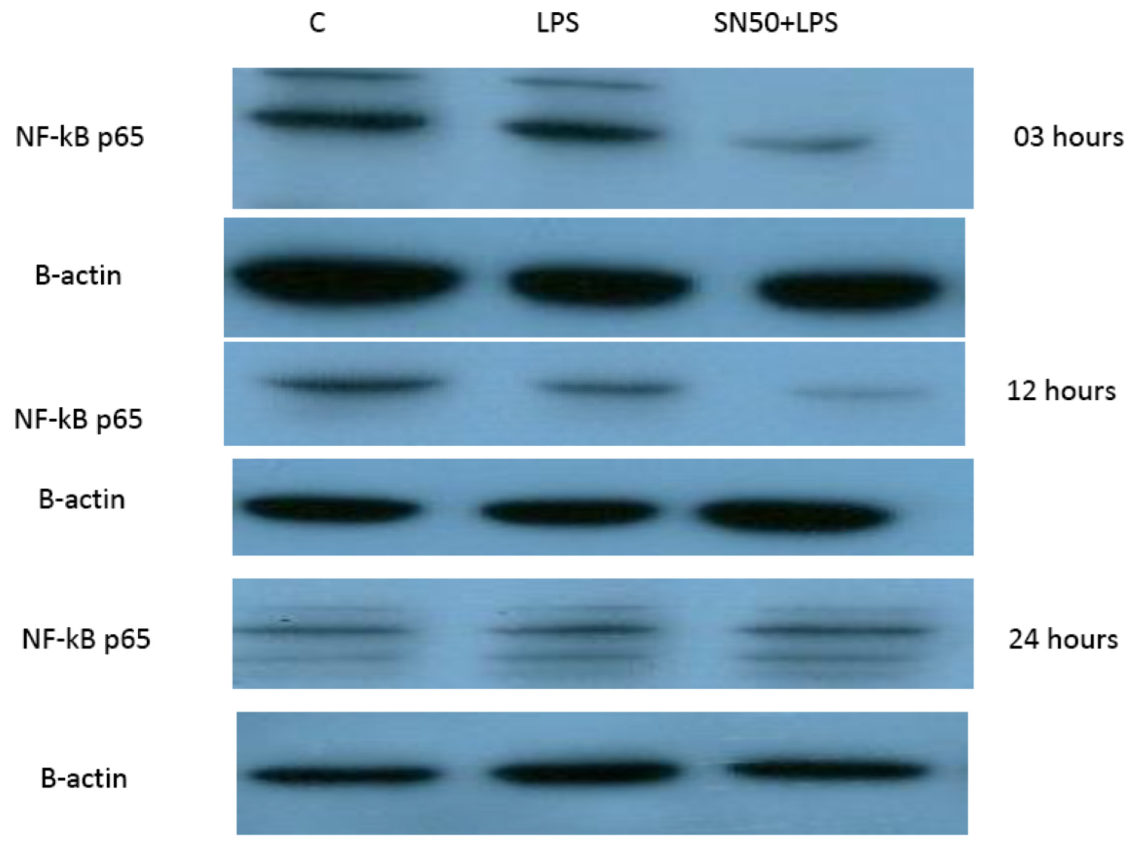 Proceedings 79 00015 g002