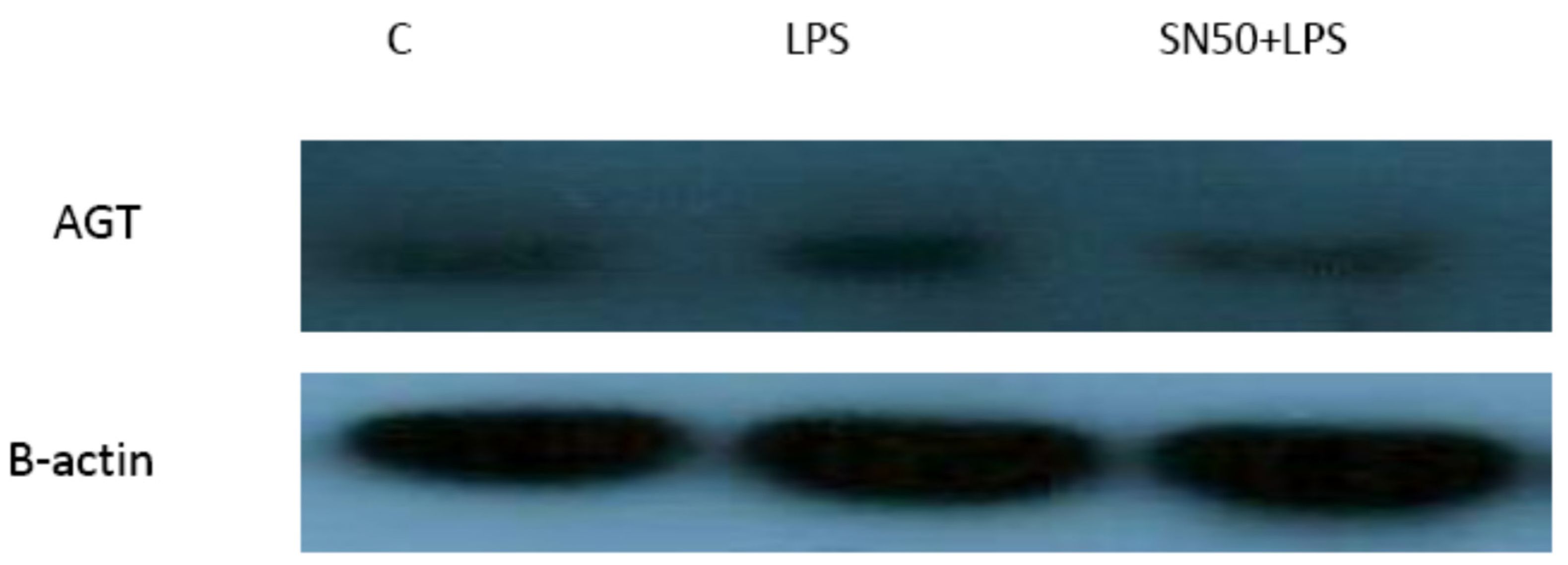 Proceedings 79 00015 g008