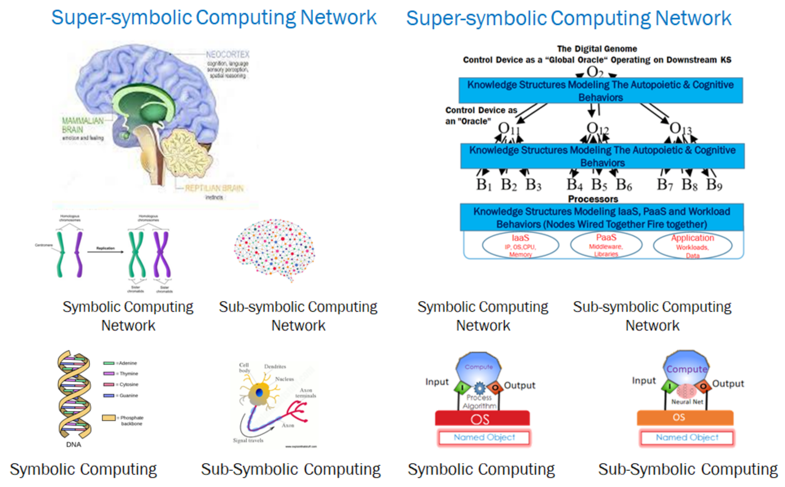 Proceedings 81 00084 g001