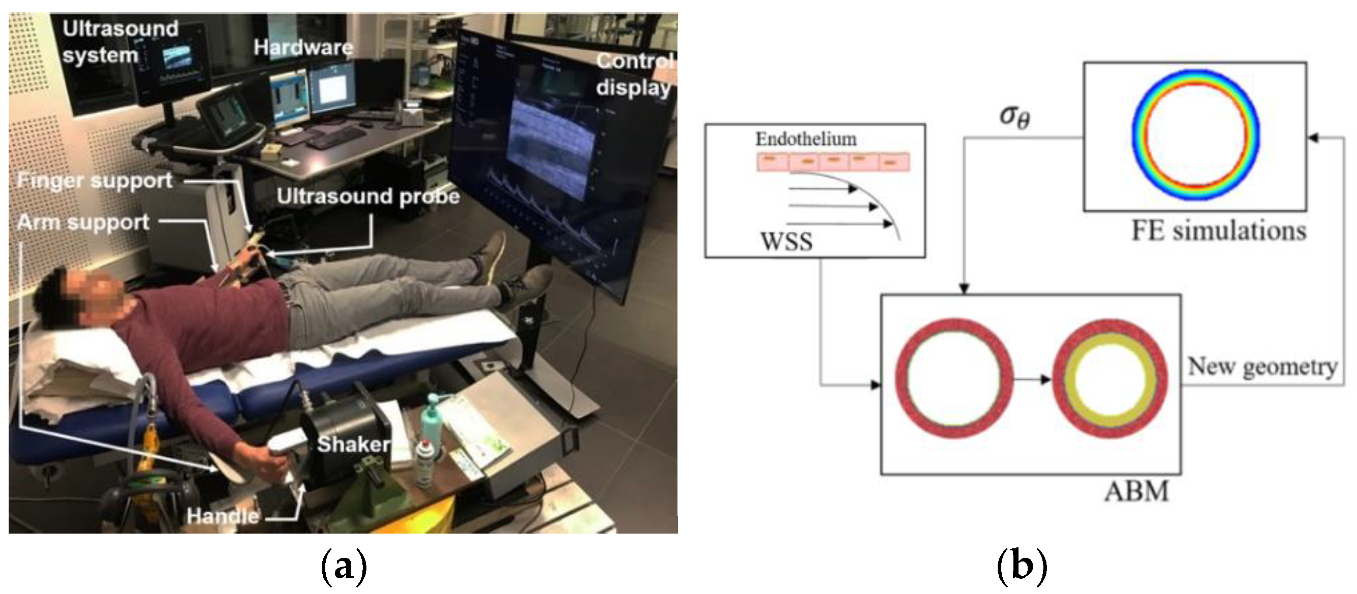Proceedings 86 00011 g001