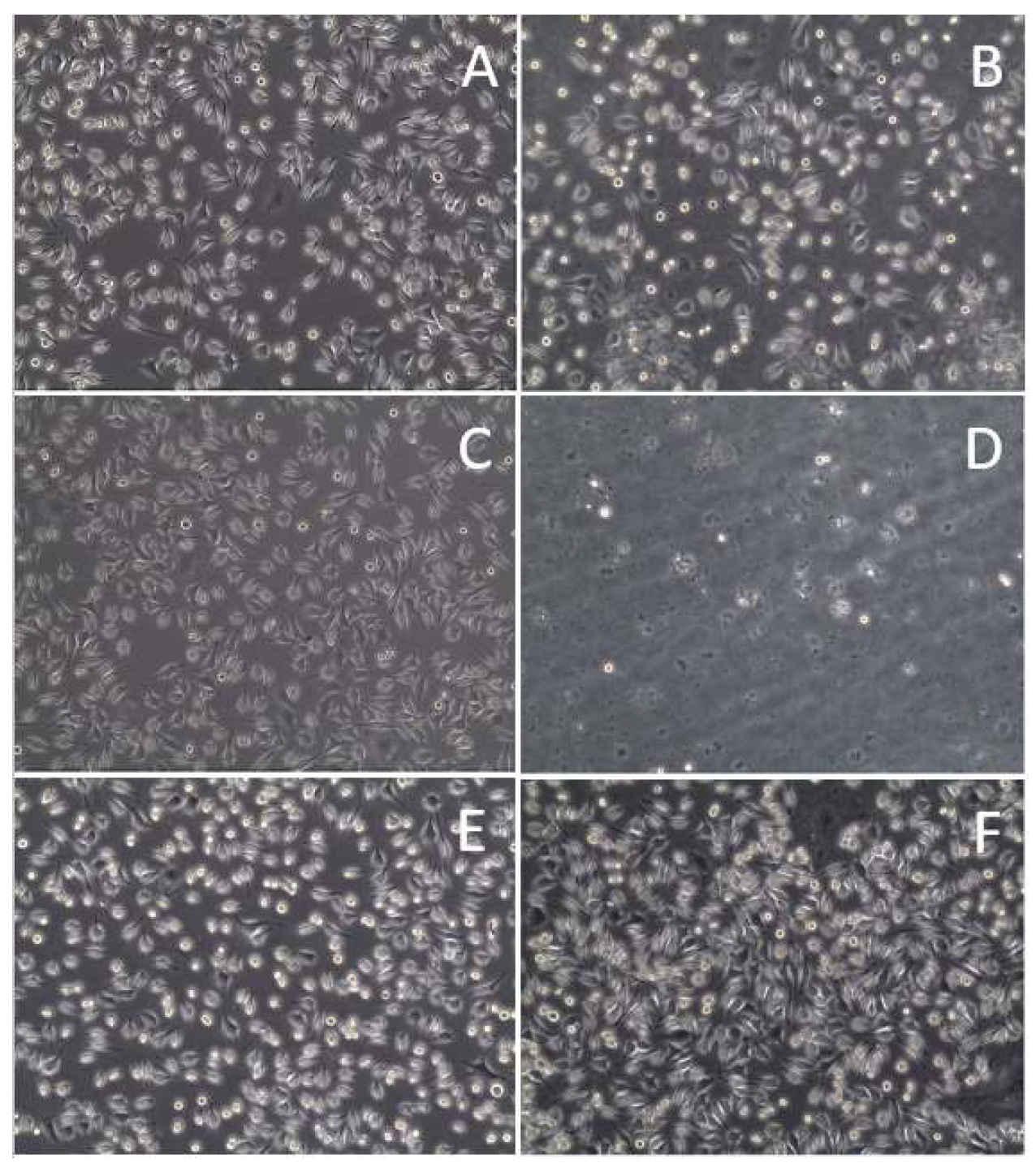 Proceedings 86 00045 g003