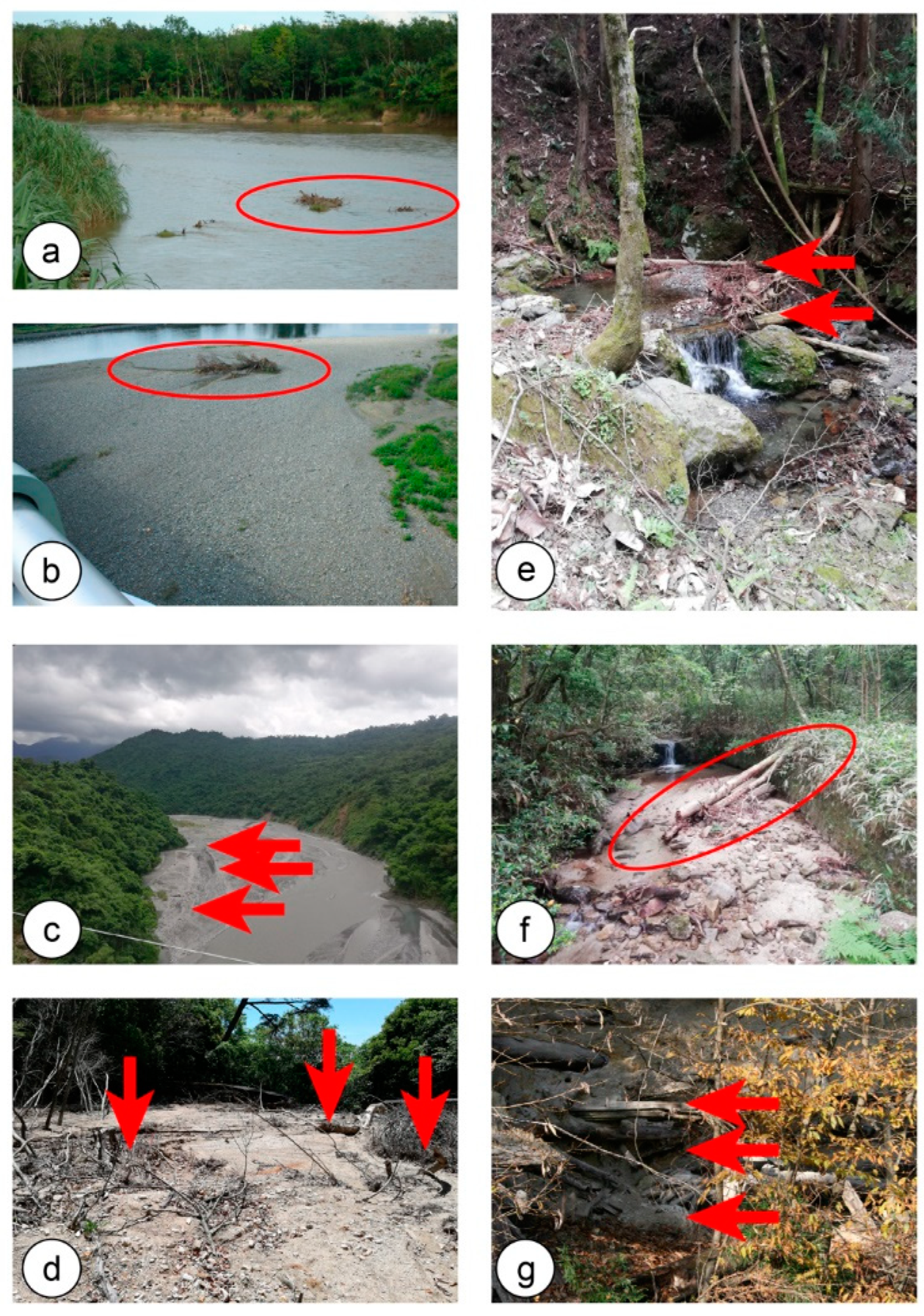 Proceedings 87 00001 g001