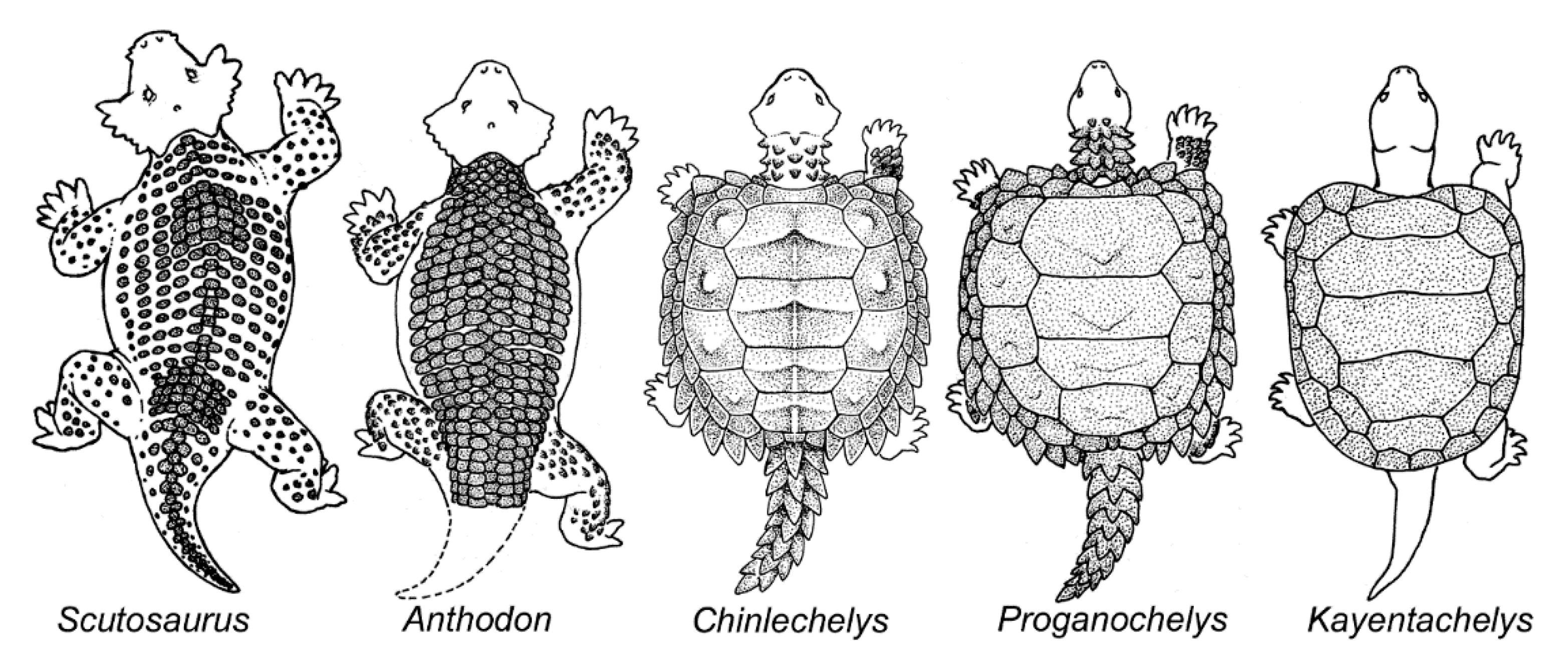 Proceedings 87 00004 g003