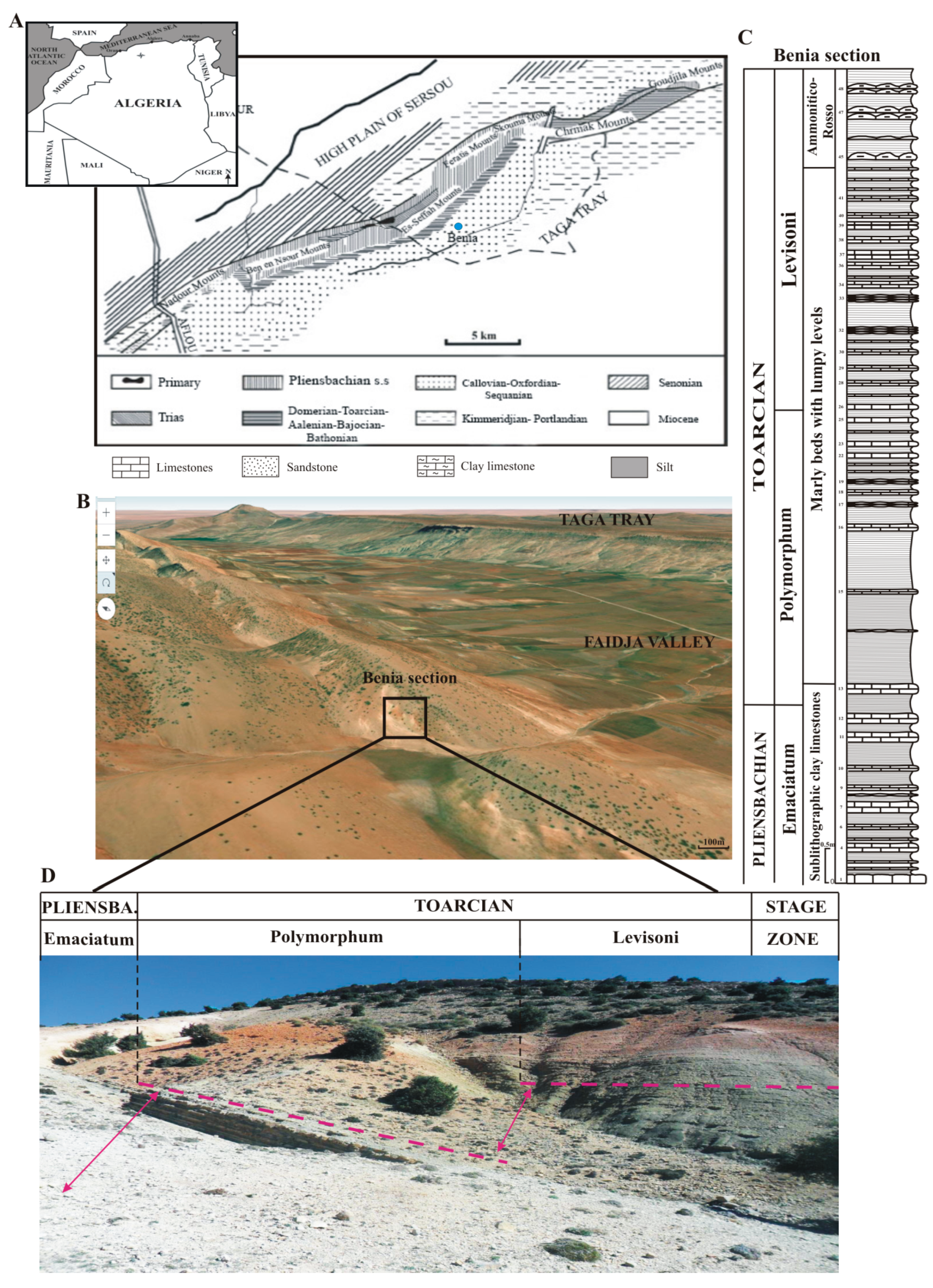 Proceedings 87 00018 g001 Proceedings 87 00018 g001