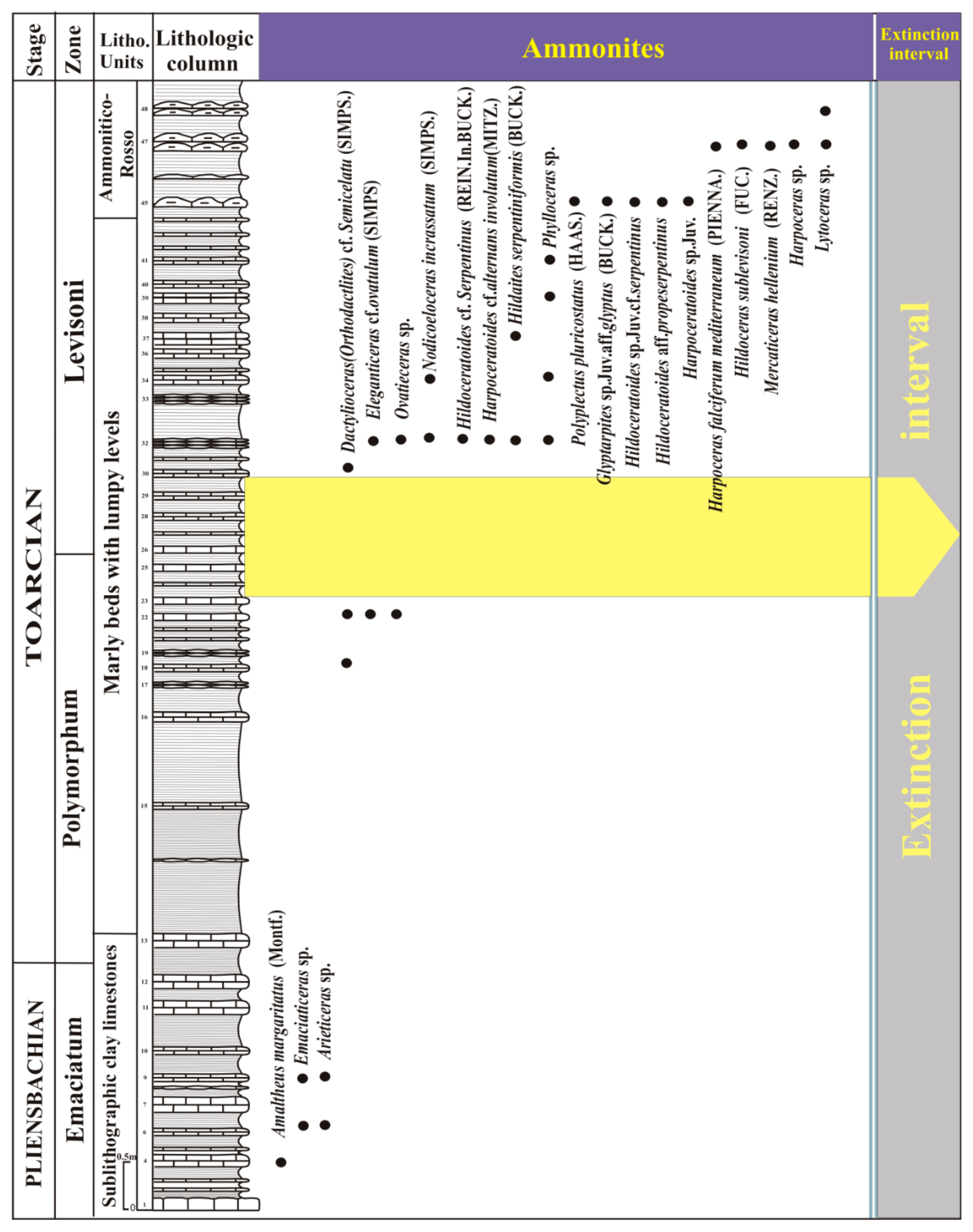 Proceedings 87 00018 g002 Proceedings 87 00018 g002