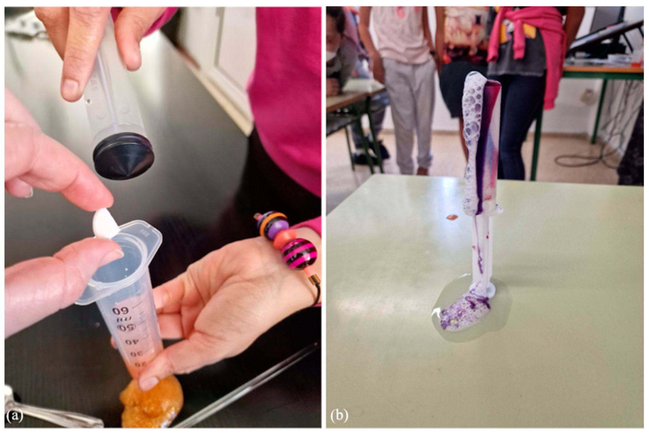 Proceedings 87 00029 g004