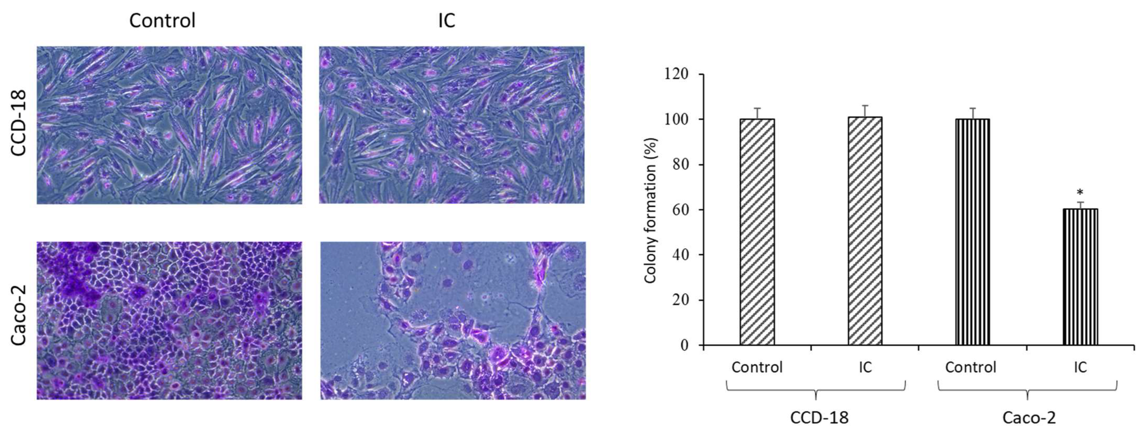 Proceedings 89 00021 g002