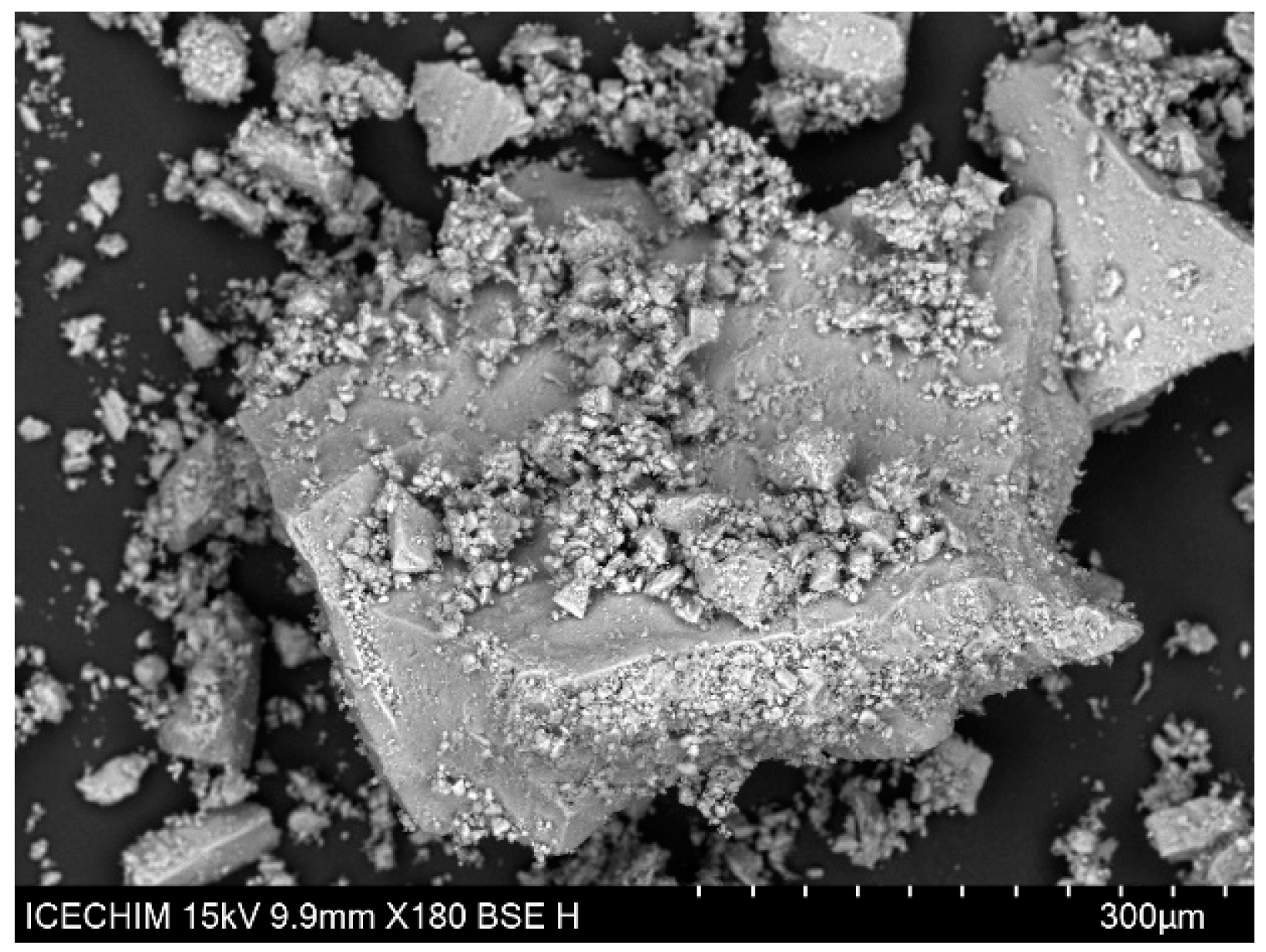 Proceedings 90 00022 g001