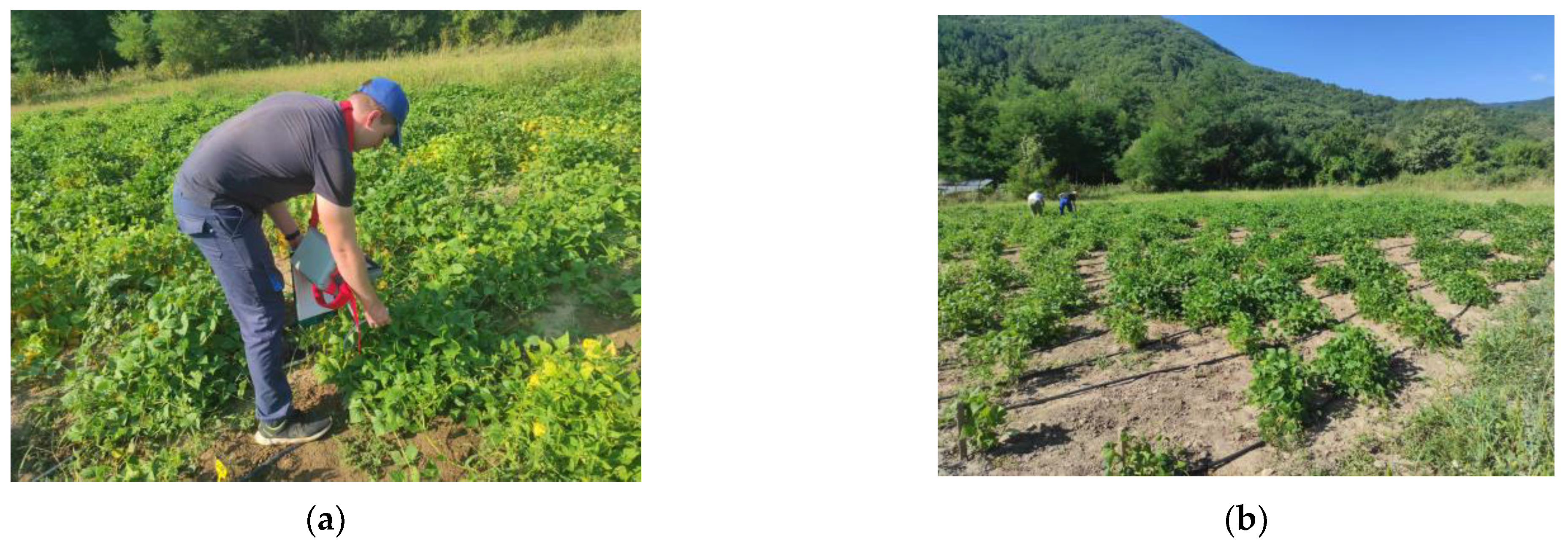 Proceedings 94 00031 g001