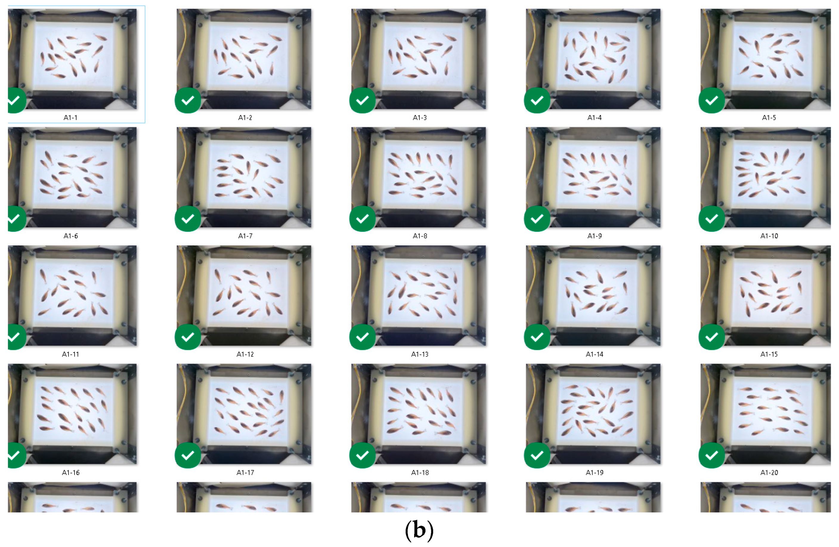 Proceedings 94 00058 g003b