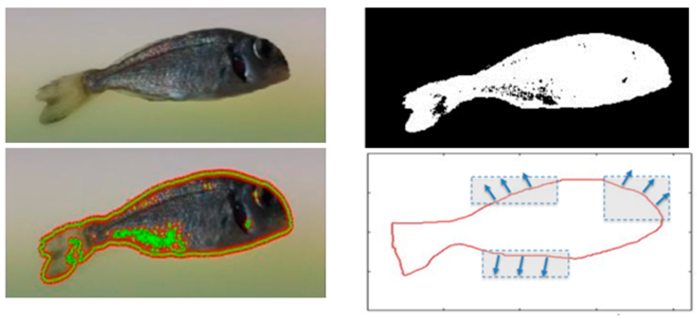 Proceedings 94 00058 g004