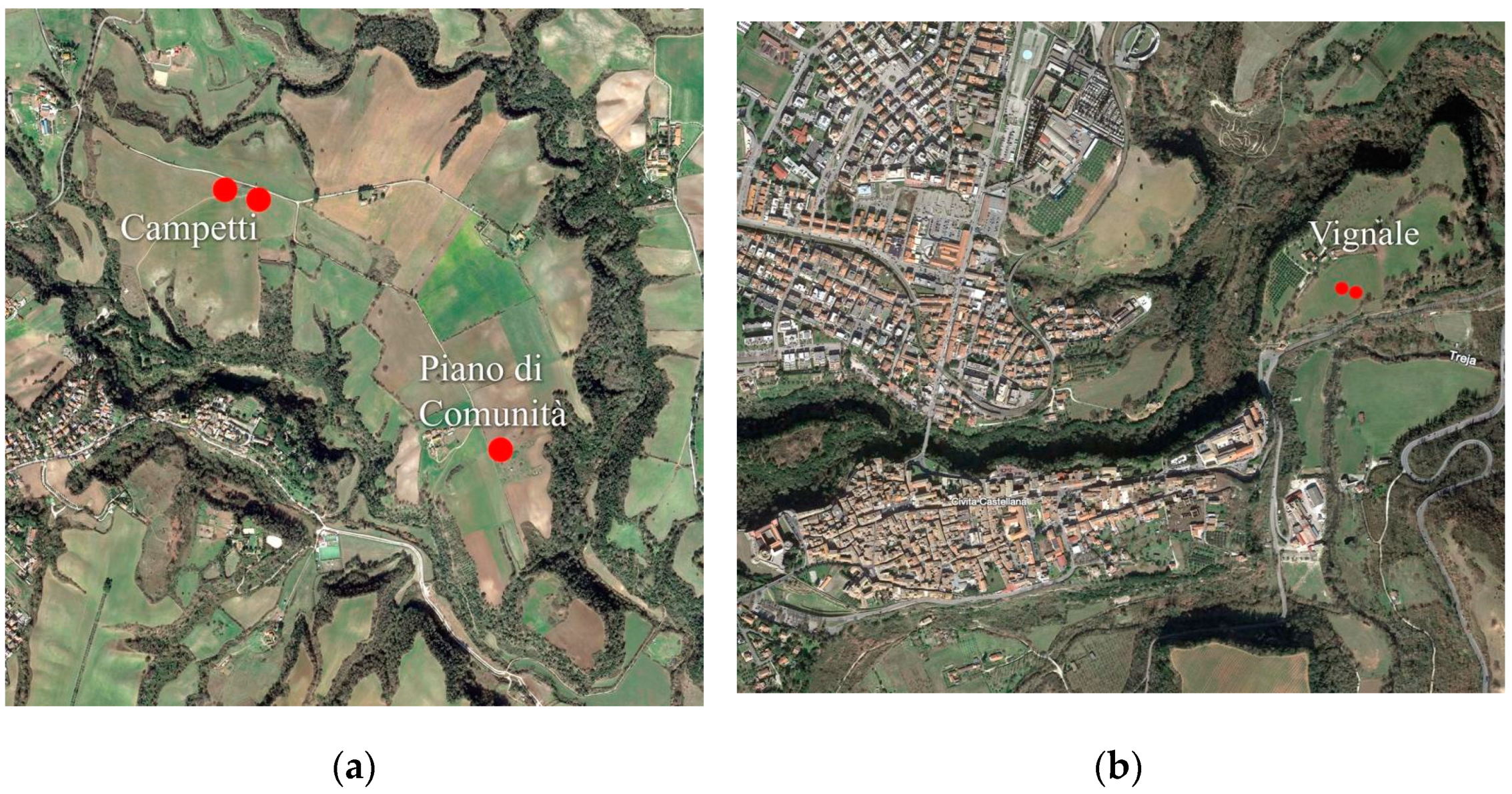 Proceedings 96 00012 g001