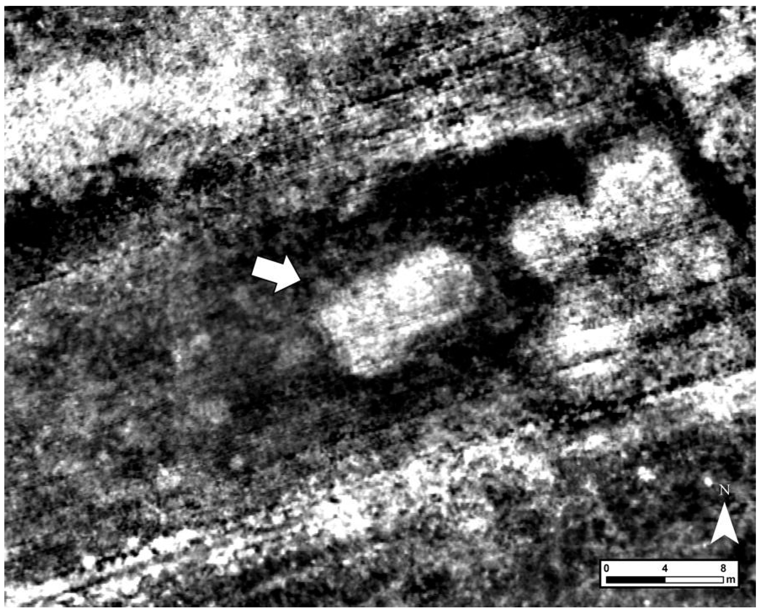 Proceedings 96 00012 g003