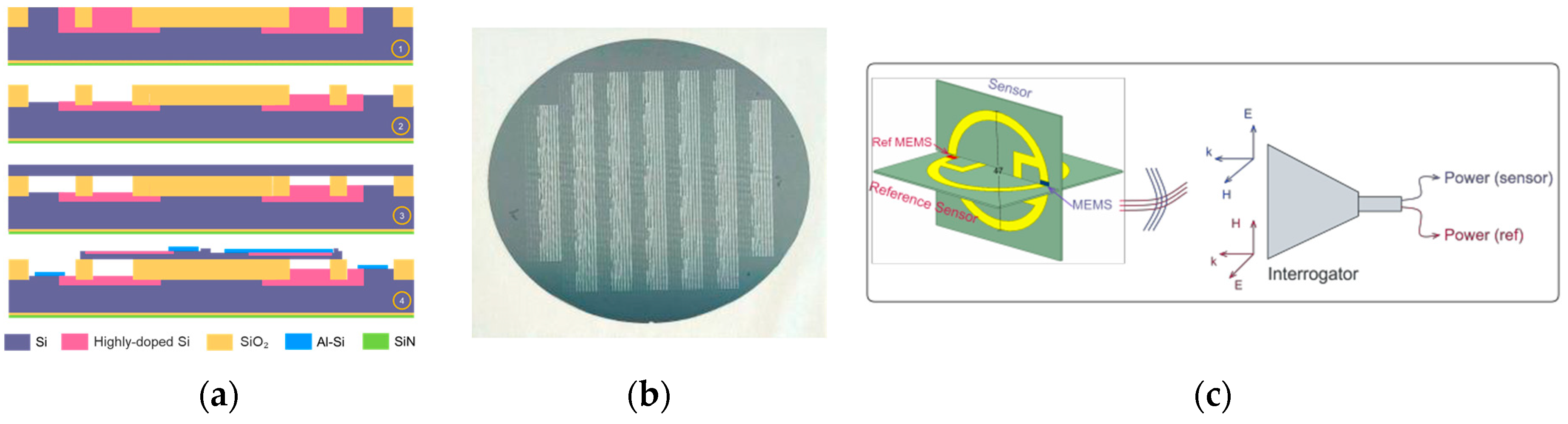 Proceedings 97 00024 g001