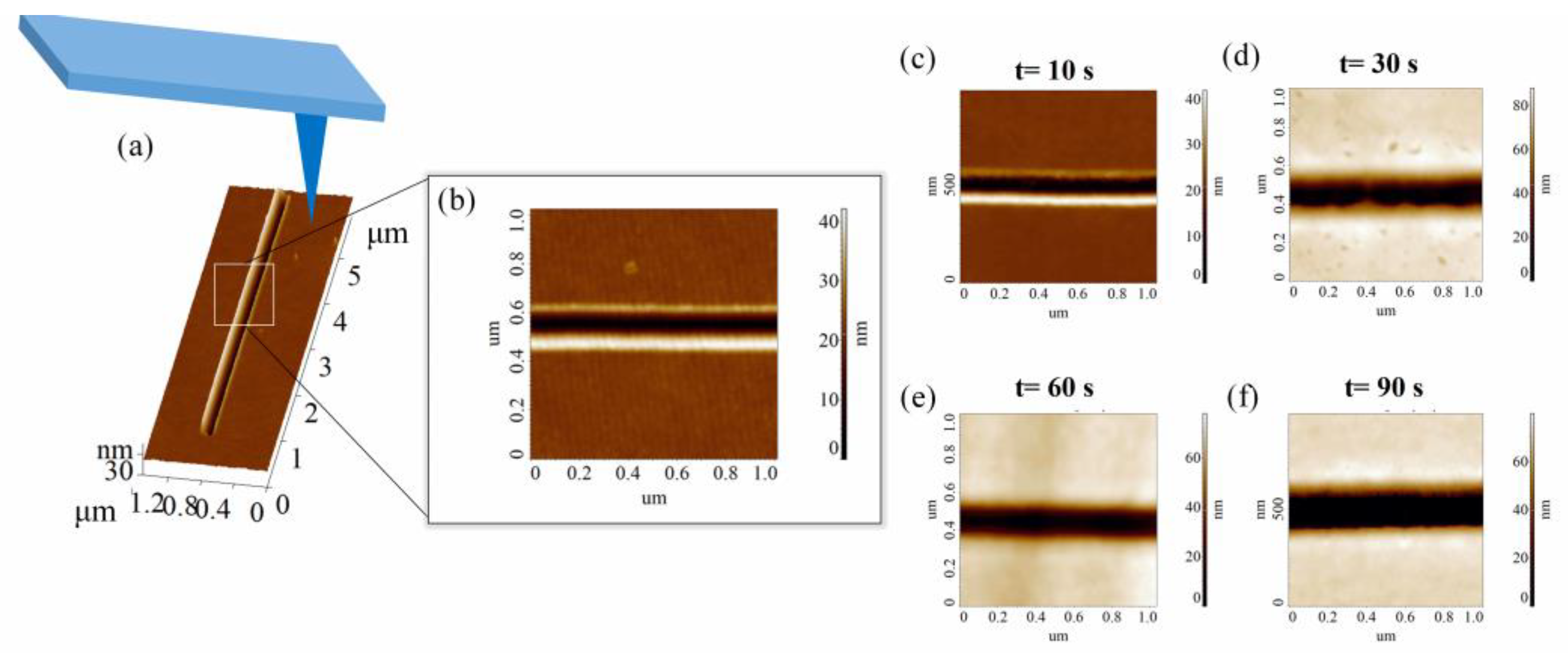 Proceedings 97 00069 g001