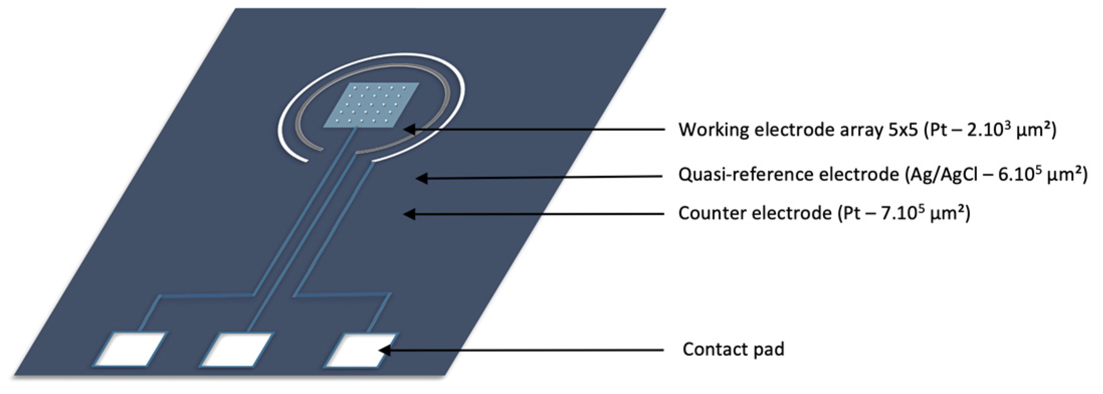 Proceedings 97 00111 g001