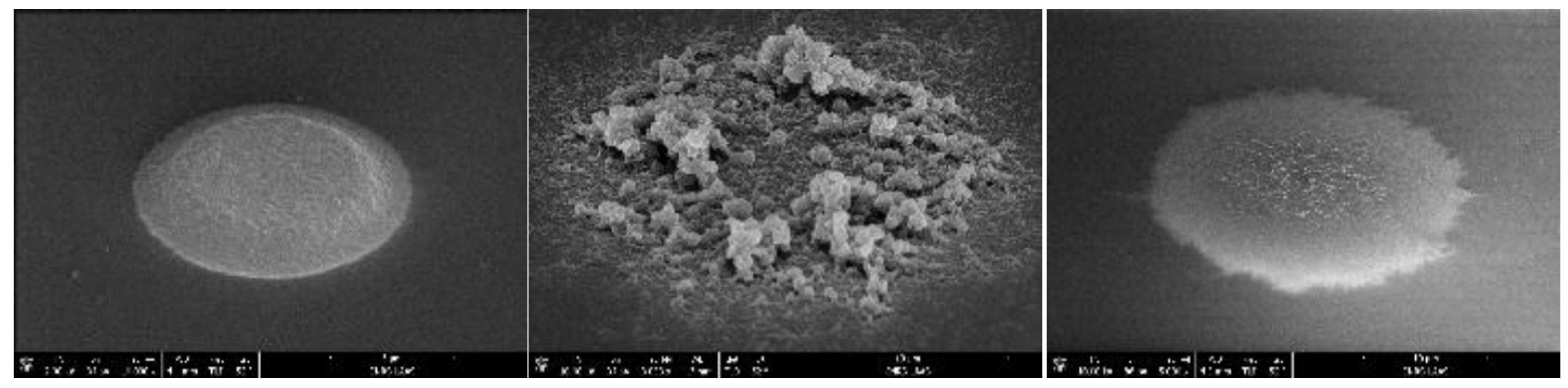 Proceedings 97 00111 g002