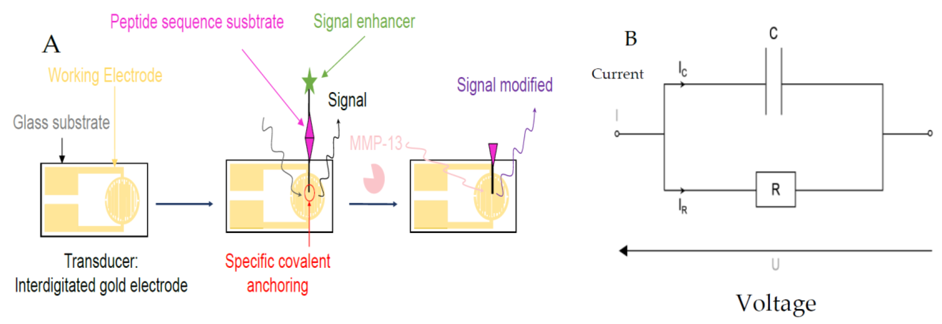 Proceedings 97 00183 g001