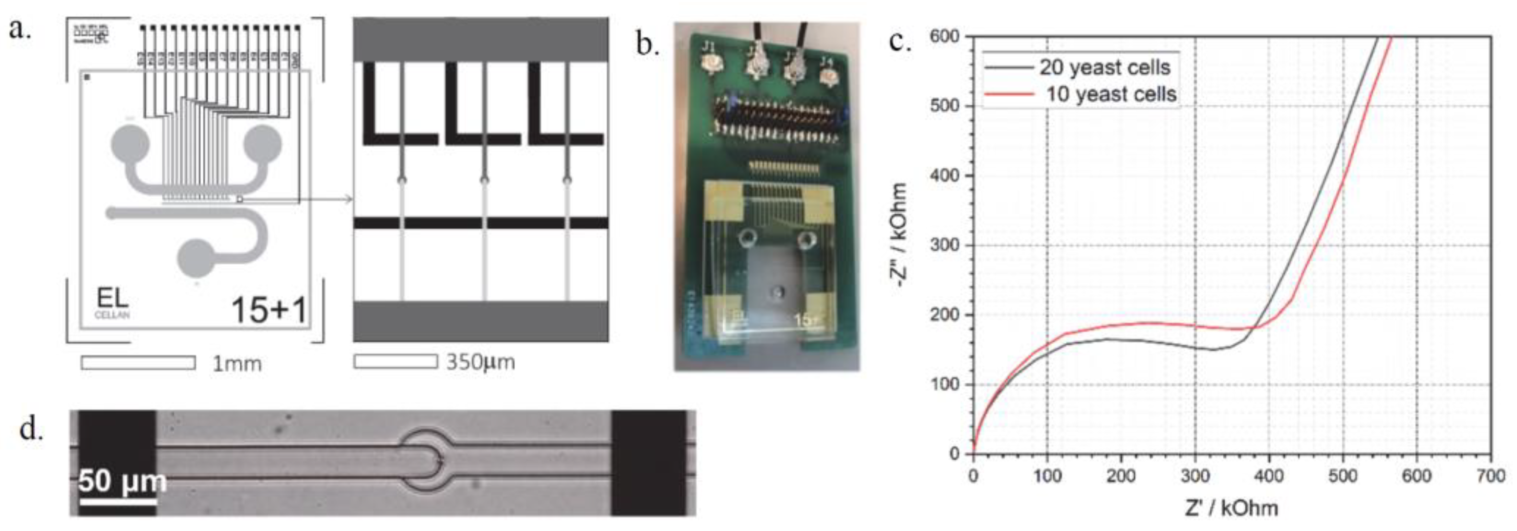 Proceedings 97 00187 g001