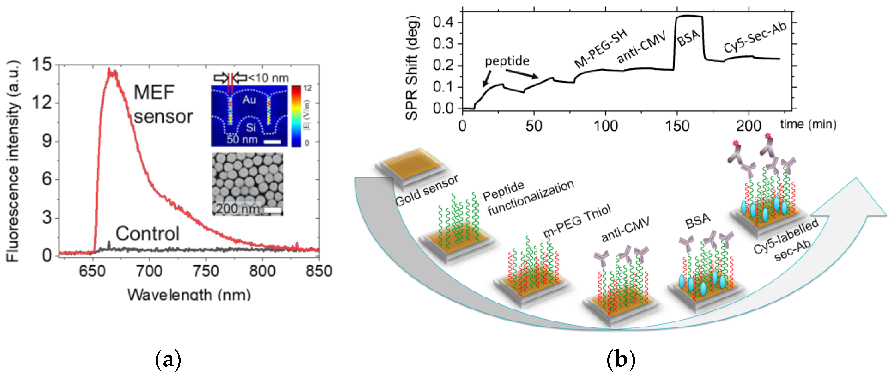 Proceedings 97 00217 g001