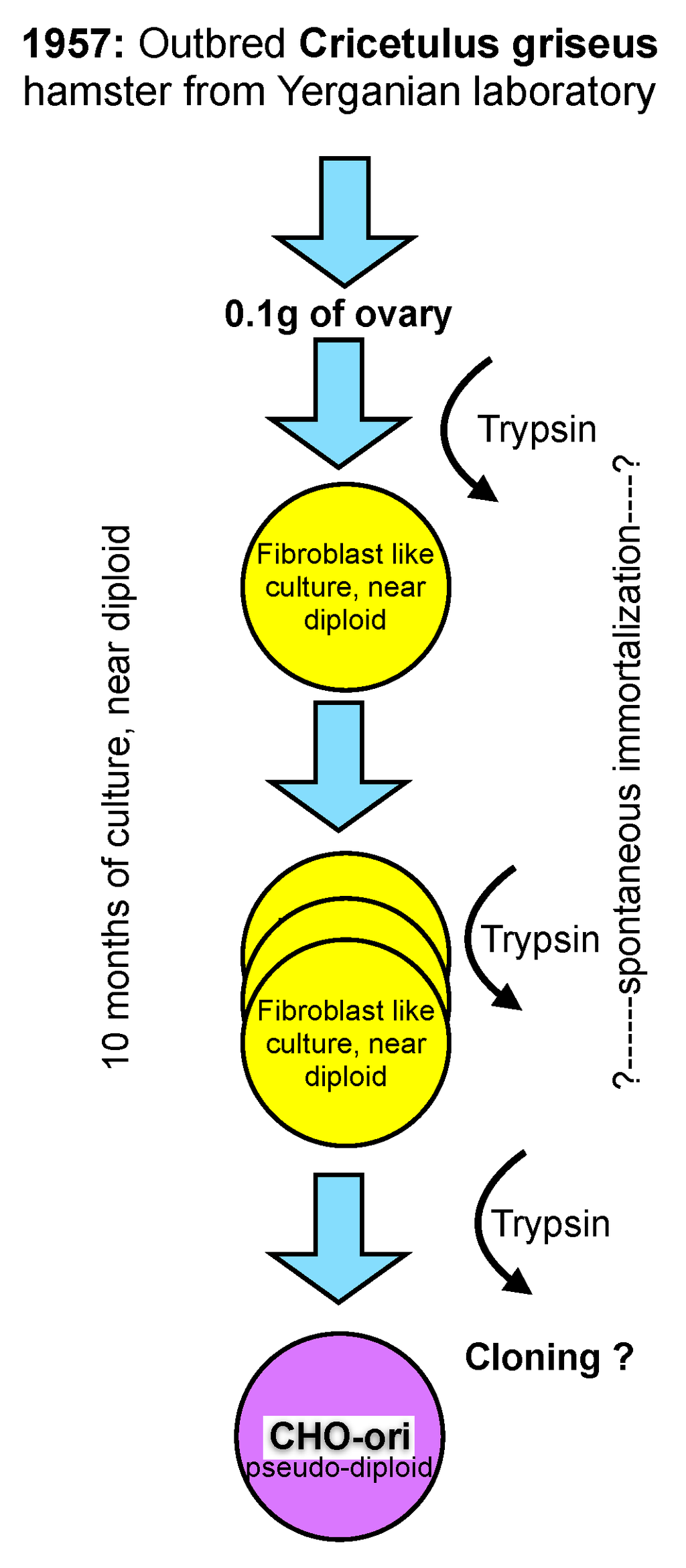 Processes 01 00296 g001 1024