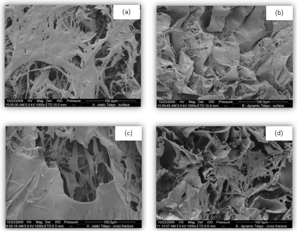 Processes 02 00001 g005 1024