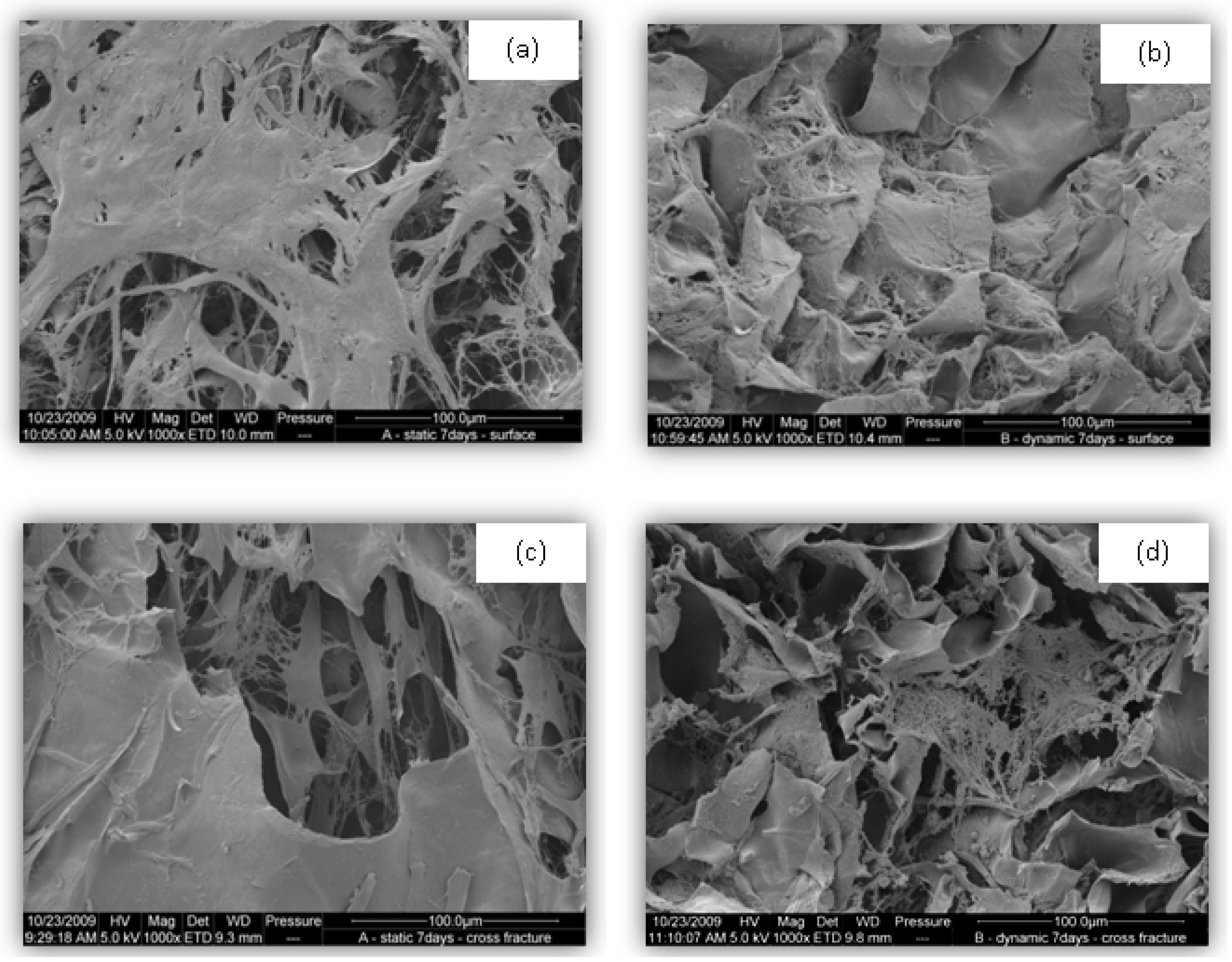 Processes 02 00001 g005