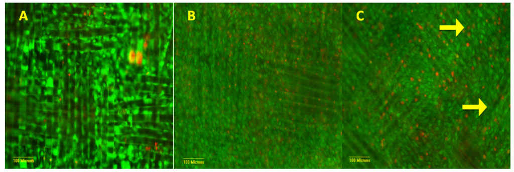 Processes 02 00345 g007 1024