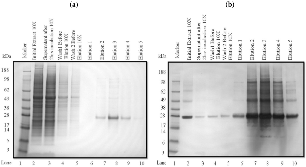 Processes 02 00625 g003 1024