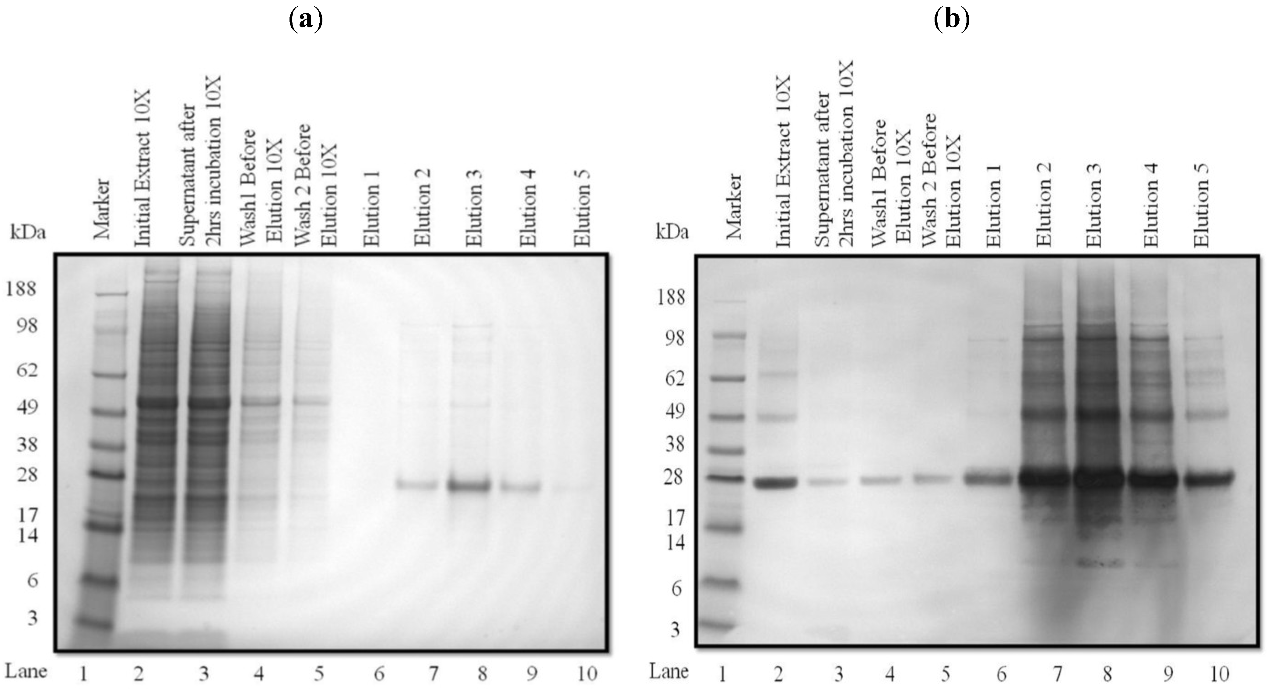 Processes 02 00625 g003