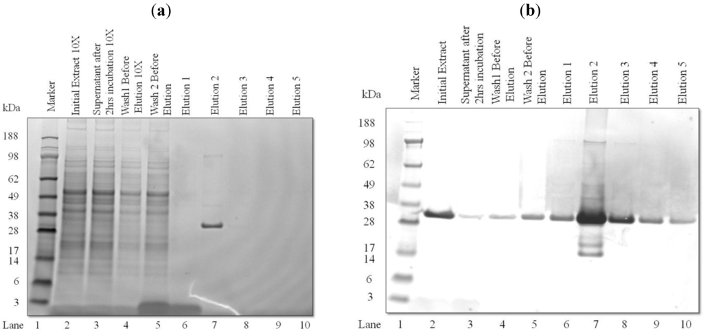 Processes 02 00625 g004 1024