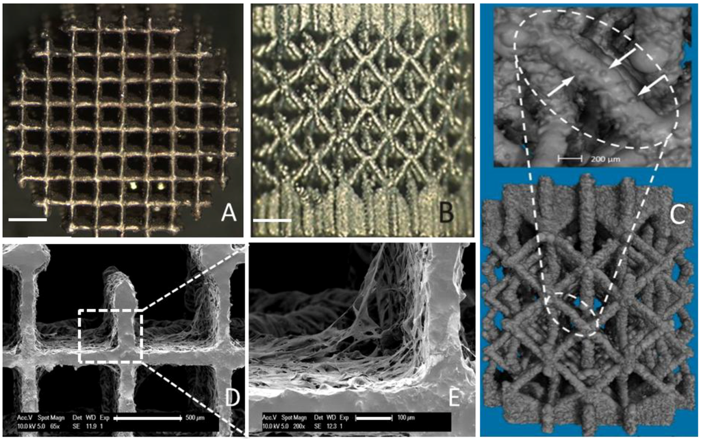 Processes 02 00639 g002 1024