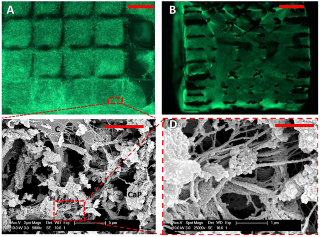 Processes 02 00639 g003 1024