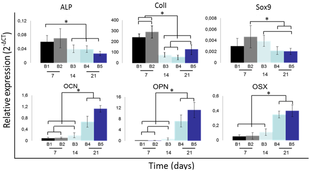 Processes 02 00639 g004 1024