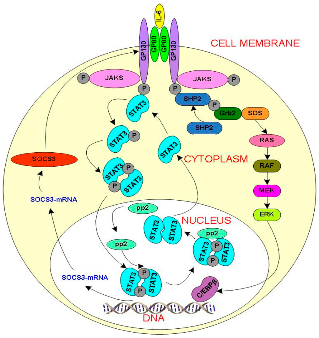 Processes 03 00050 g001 1024