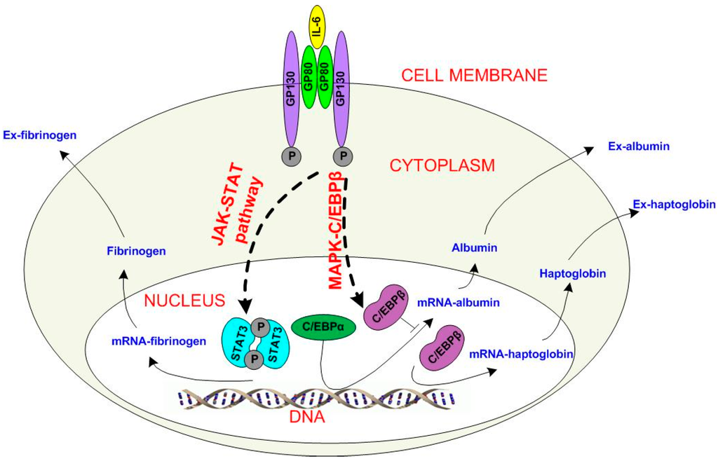 Processes 03 00050 g002 1024