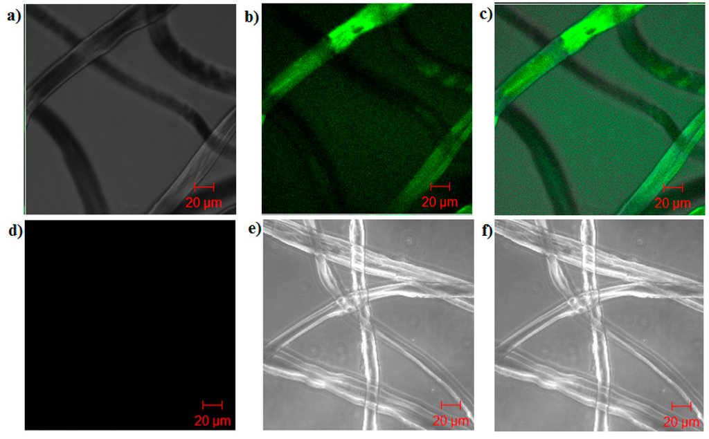 Processes 03 00204 g002 1024