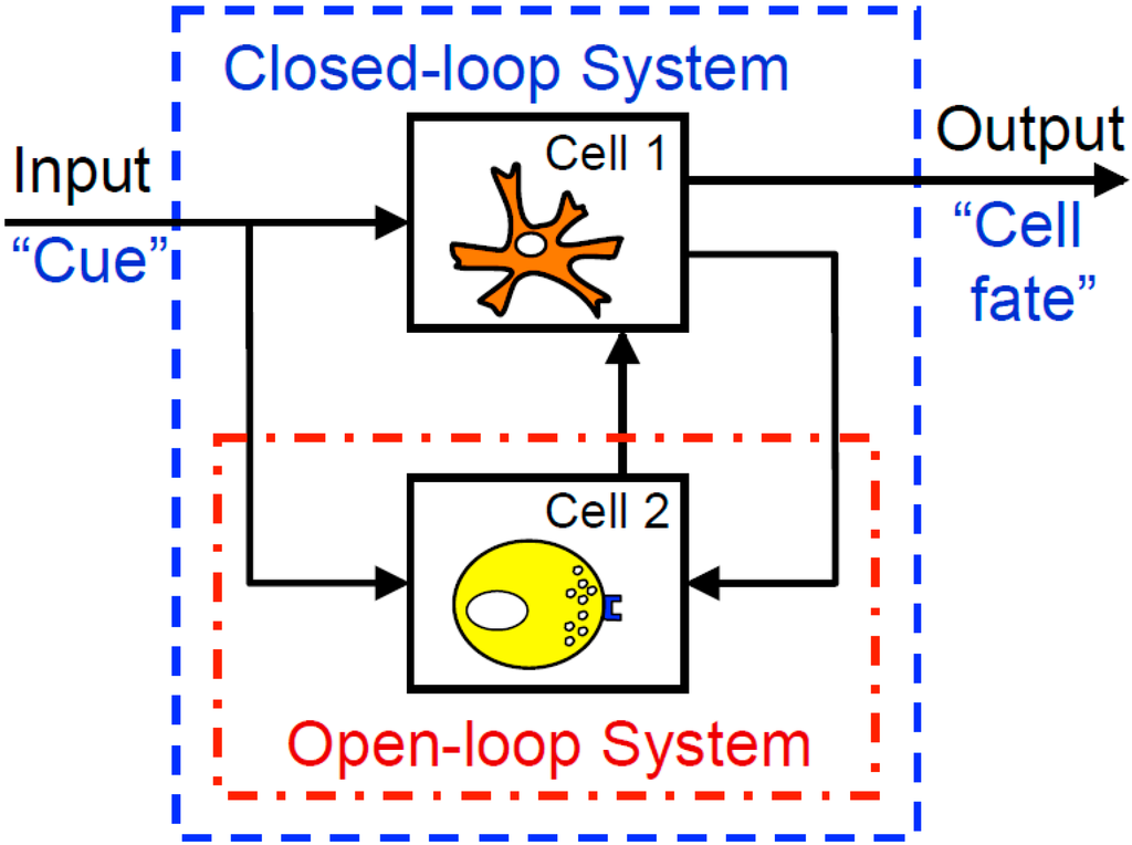 Processes 03 00235 g002 1024