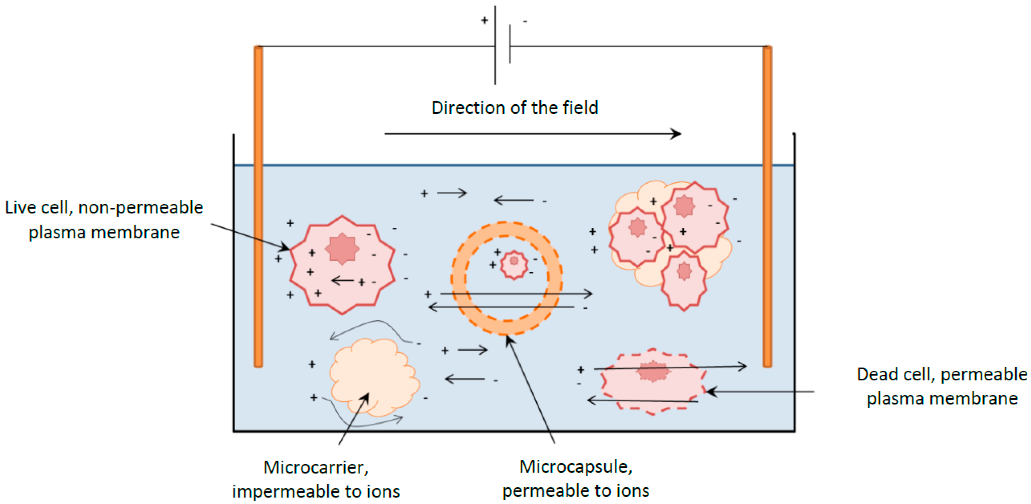 Processes 03 00384 g005